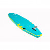 PADDLE GONFLABLE FANATIC RAY AIR 11.6 PREMIUM SAC + POMPE