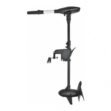 MOTEUR HASWING PROTRUAR 3.0 110 LBS 12V 