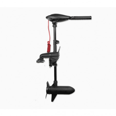 MOTEUR HASWING OSAPIAN 30 LBS 