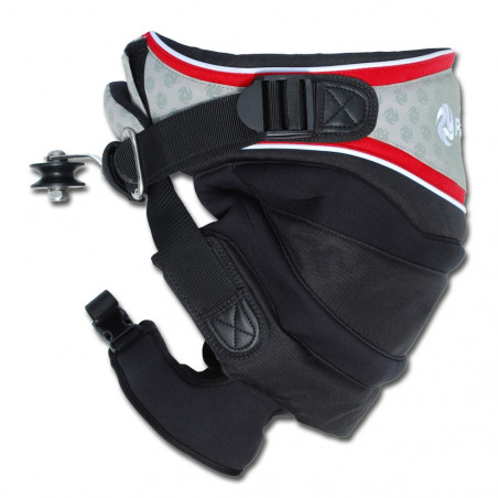 HARNAIS BUGGY PETER LYNN DIVINE SEAT