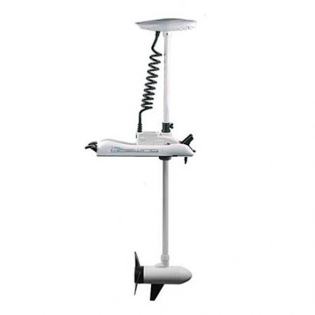 MOTEUR ELECTRIQUE HASWING CAYMAN B 80 LBS 