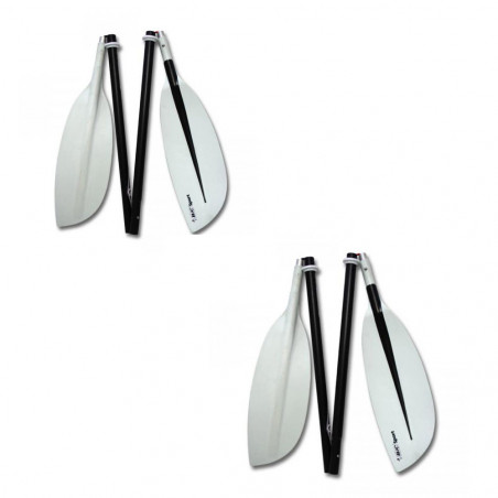 LOT DE 2 PAGAIES BIC 4 PARTIES 