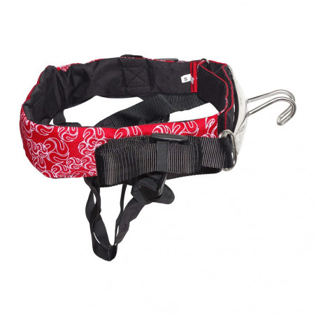 HARNAIS PETER LYNN BASE