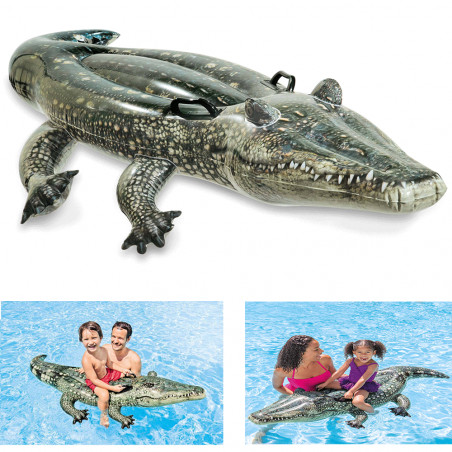 ALLIGATOR A CHEVAUCHER INTEX (57551) 