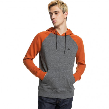 Sweat à capuche Essentials Gris Orange Gris foncé QUIKSILVER