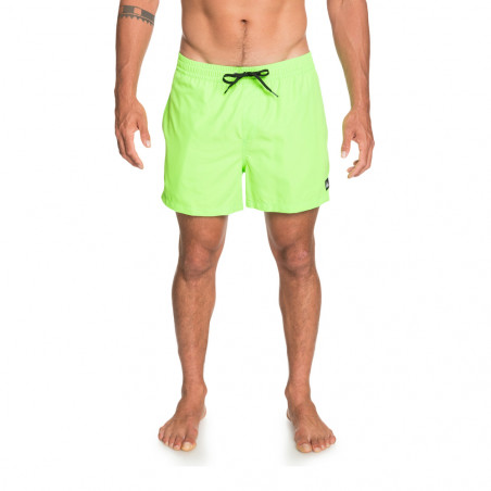 Boardshorts everyday volley vert Quiksilver