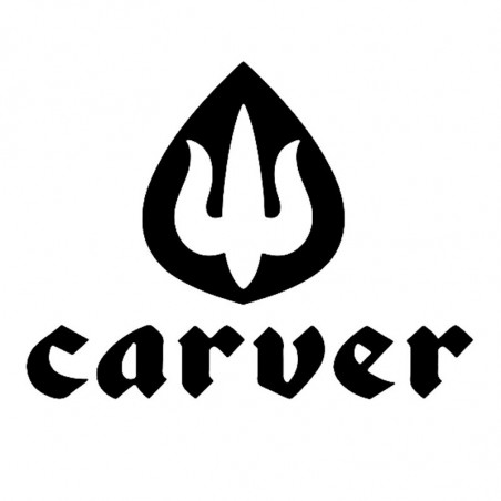 Carver Skateboards