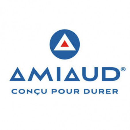 Amiaud
