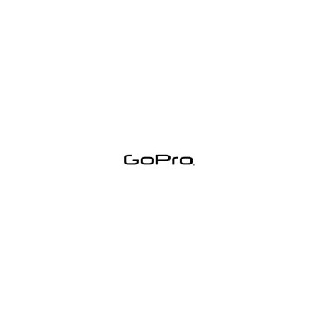 GoPro